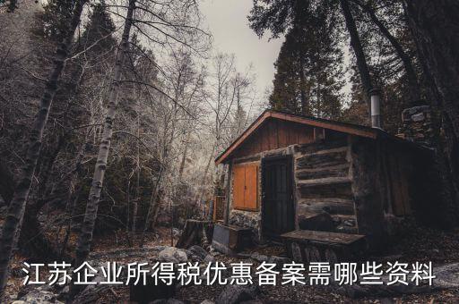 所得稅優(yōu)惠備案需要什么資料，江蘇企業(yè)所得稅優(yōu)惠備案需哪些資料