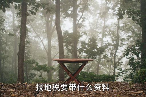 報地稅要帶什么資料，地稅報稅需要什么資料