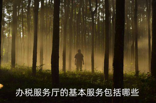 一體化辦稅服務(wù)廳是什么，辦稅服務(wù)廳的基本服務(wù)包括哪些