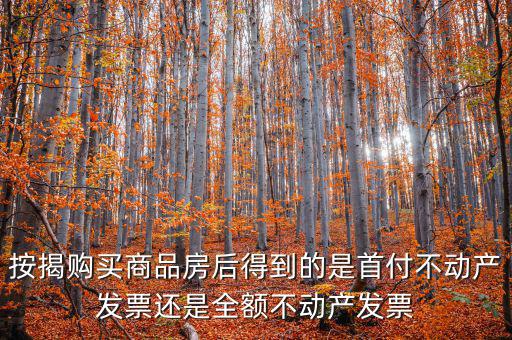 什么是全額不動產(chǎn)發(fā)票，想問一下購房全額發(fā)票到底是什么的侯才開是在交房的時侯還是辦