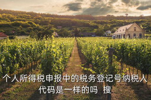 什么是個人稅務(wù)號，個人所得稅申報中的稅務(wù)登記號納稅人代碼是一樣的嗎  搜