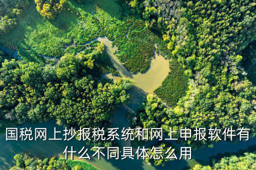 國(guó)稅申報(bào)軟件是什么意思，你用過(guò)網(wǎng)上申報(bào)軟件嗎是申報(bào)什么的我們公司有河北國(guó)稅納稅人端