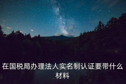服務(wù)廳實(shí)名辦稅要帶什么，服務(wù)業(yè)辦稅務(wù)登記要些什么證件