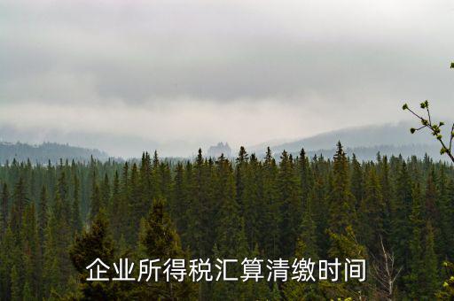 匯算清繳什么時(shí)候，個(gè)人所得稅匯算清繳的時(shí)間一定是次年的3月31日前