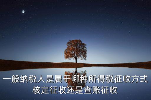 一般納稅人屬于什么，什么是一般納稅人