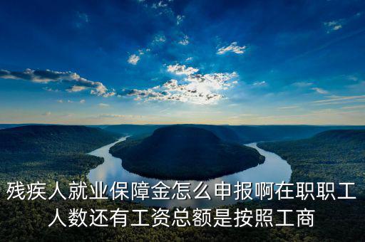 殘疾保證金什么申報(bào)，殘疾人就業(yè)保障金怎么申報(bào)啊在職職工人數(shù)還有工資總額是按照工商