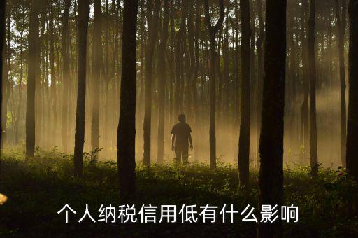 納稅信用記錄是什么，金稅三期納稅信用管理是什么意思