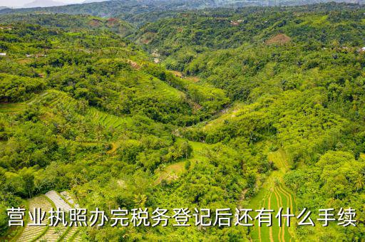 稅務(wù)登記以后需要什么，公司設(shè)立后辦理稅務(wù)登記要準(zhǔn)備哪些資料
