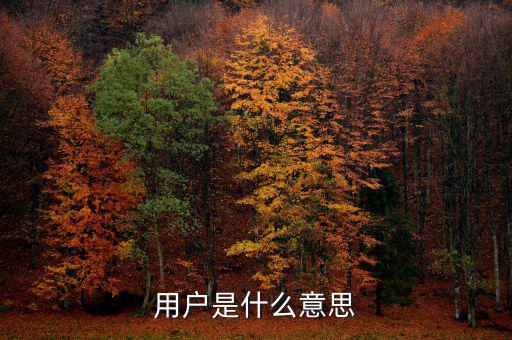 稅局用戶是什么意思，國稅局發(fā)票軟件里用戶代碼和密碼是什么