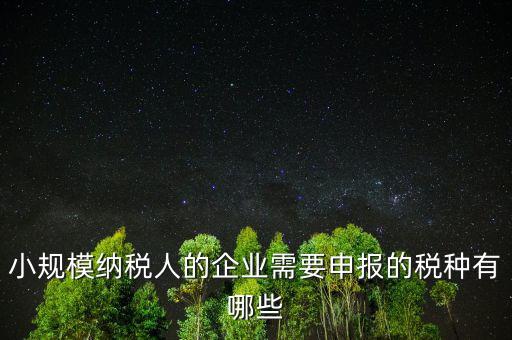 國稅小企業(yè)報什么稅，無錫 一般納稅人 小企業(yè)納稅人 國稅 地稅 分別要報哪些