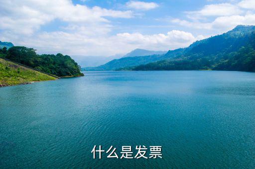默認(rèn)發(fā)票是什么，蘇寧天貓旗艦店默認(rèn)開取什么發(fā)票
