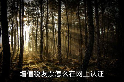 增值稅發(fā)票怎么在網(wǎng)上認(rèn)證
