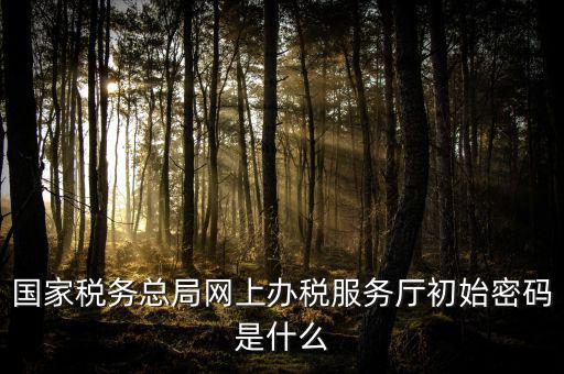 江蘇地稅登錄密碼是什么意思，江蘇地稅開票密碼是多少