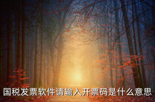 開票二維碼是什么軟件，天津國(guó)稅通用機(jī)打發(fā)票二維碼包含的內(nèi)容解碼軟件