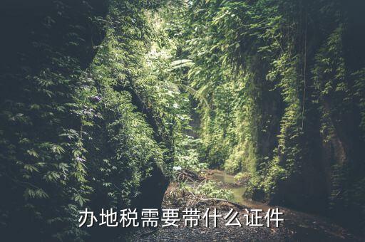 國稅地稅證件什么手續(xù)，辦理國稅地稅需要那些手續(xù)