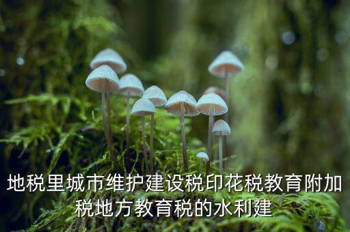 水利建設(shè)基金的計(jì)稅基礎(chǔ)是什么，計(jì)稅基礎(chǔ)是什么意思
