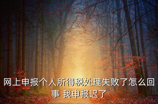 稅款處理失敗什么意思，扣繳稅款失敗提示銀財通處理失敗FAPP00444要怎樣處理才可以扣款