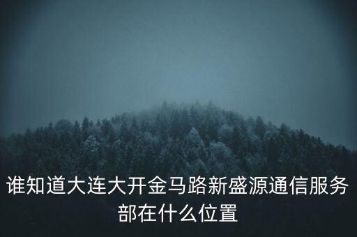信息服務(wù)部可以叫什么地方，誰(shuí)知道大連大開(kāi)金馬路新盛源通信服務(wù)部在什么位置