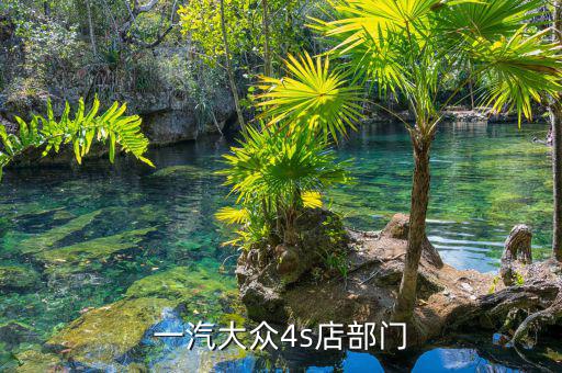 宋蘭去什么部門(mén)了，國(guó)家稅務(wù)總局的副局長(zhǎng)宋蘭身體很豐滿