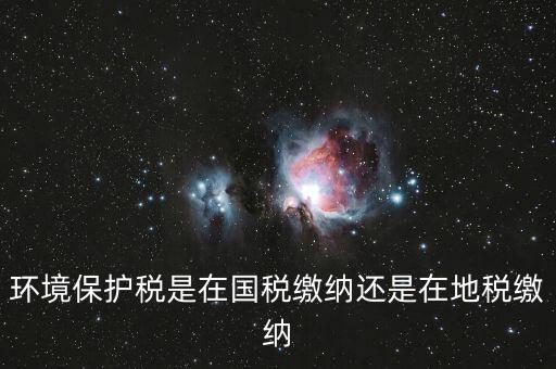 什么是環(huán)境保護(hù)稅納稅人，環(huán)境稅是什么意思