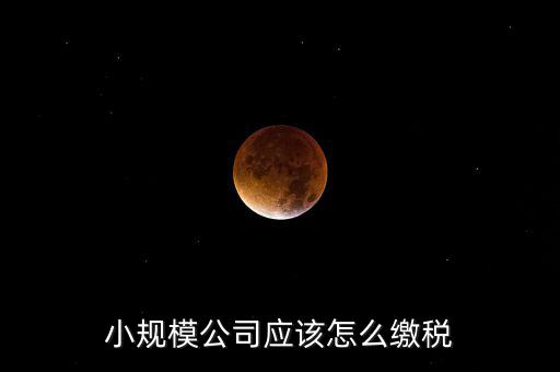 小規(guī)模公司按什么交稅嗎，一個小規(guī)模納稅公司國稅和地稅應(yīng)該都分別交什么稅