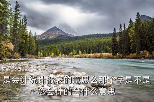 統(tǒng)計納稅申報表是什么，請問納稅申報中的基礎(chǔ)表數(shù)據(jù)中的基礎(chǔ)表是指什么