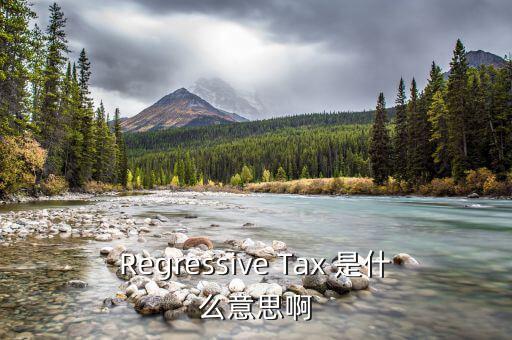 什么是稅收穿透，passthrough taxation是什么意思是直接繳稅嘛