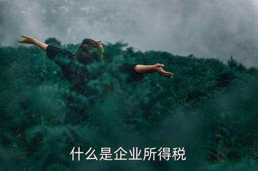 什么是企業(yè)所得稅率，什么是企業(yè)所得稅