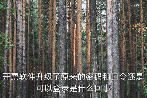 金稅盤(pán)開(kāi)票密碼和口令是什么意思，口令和密碼有什么區(qū)別