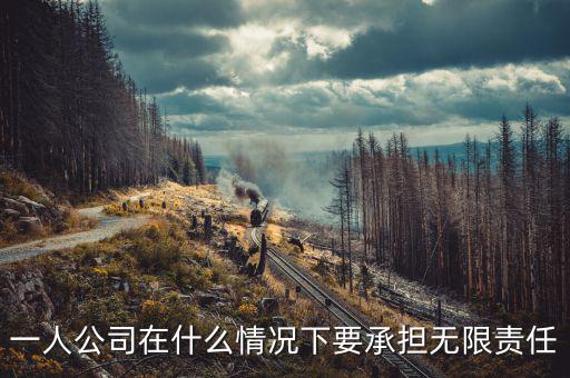 什么人承擔無限納稅義務，什么人不用納稅