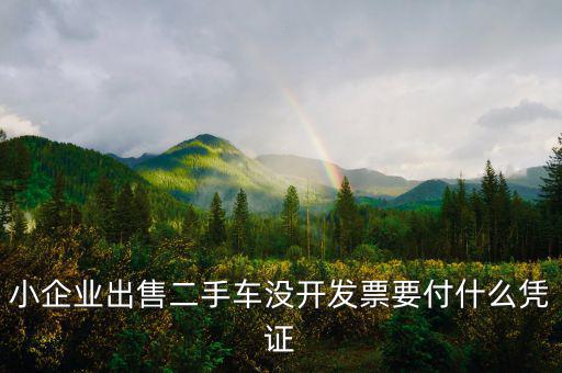 小企業(yè)出售二手車(chē)沒(méi)開(kāi)發(fā)票要付什么憑證