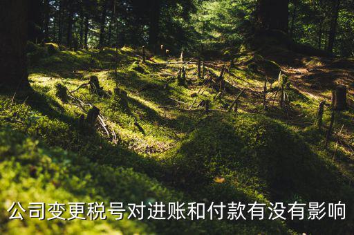 換稅號注意什么，公司變更稅號對進(jìn)賬和付款有沒有影響