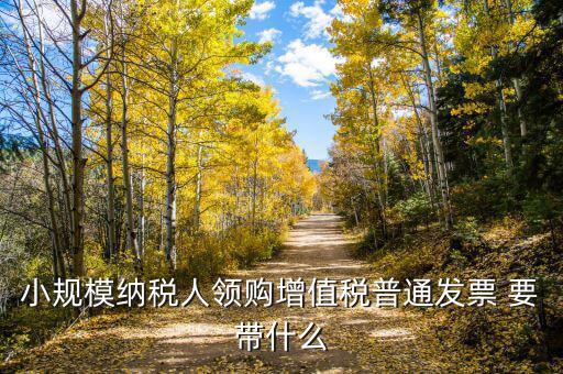 領(lǐng)增值稅普通發(fā)票需要什么資料，小規(guī)模納稅人領(lǐng)購增值稅普通發(fā)票 要帶什么