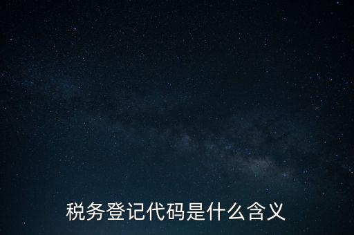 國稅發(fā)票認證登錄代碼是什么意思，國稅局發(fā)票軟件里用戶代碼和密碼是什么