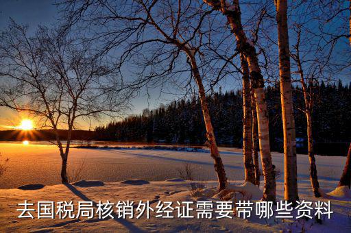 去國(guó)稅局核銷(xiāo)外經(jīng)證需要帶哪些資料