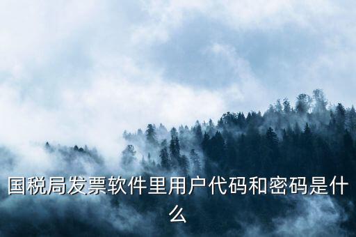 網(wǎng)上認(rèn)證發(fā)票平臺(tái)密碼是什么樣的，國(guó)稅局發(fā)票軟件里用戶代碼和密碼是什么