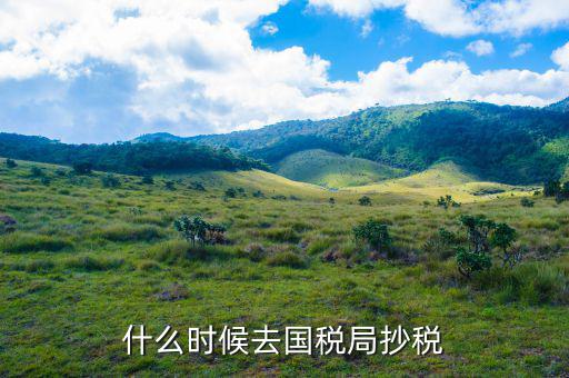 什么時(shí)候抄稅報(bào)稅，什么時(shí)候去國(guó)稅局抄稅