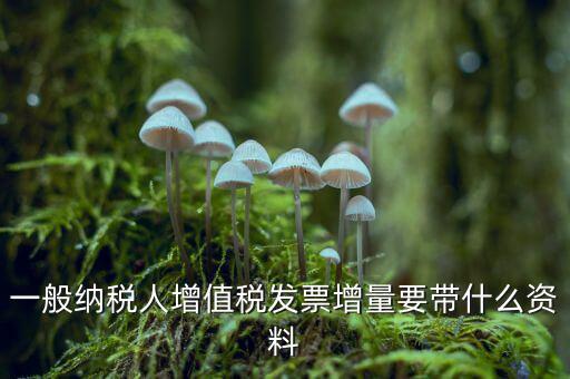 增加開票人需要什么資料，申請開票人變更需要哪些材料