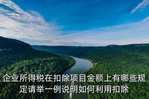 扣除項目金額是什么，應稅服務扣除項目清單中允許扣除項目金額指的是什么是總