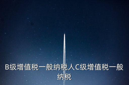 納稅用戶c級企業(yè)是什么意思，B級增值稅一般納稅人C級增值稅一般納稅