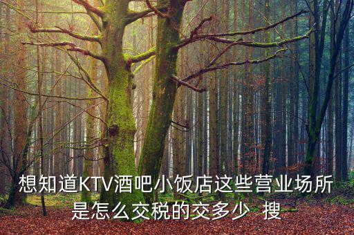 ktv交納什么稅，想知道KTV酒吧小飯店這些營(yíng)業(yè)場(chǎng)所是怎么交稅的交多少  搜