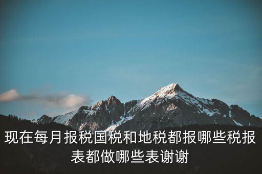 國稅報什么，現(xiàn)在每月報稅國稅和地稅都報哪些稅報表都做哪些表謝謝