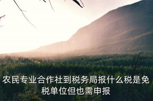 合作社應報什么稅，農(nóng)民專業(yè)合作社是怎樣報稅的是企業(yè)還是個體戶
