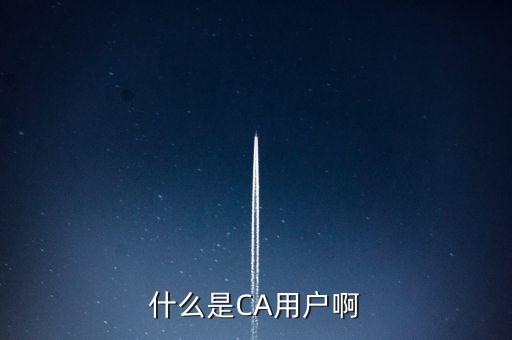 稅務(wù)總局ca系統(tǒng)是什么意思，Ca是什么