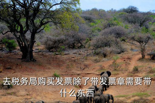 購發(fā)票需要什么資料，個(gè)人購物開增值稅普通發(fā)票需要什么資料