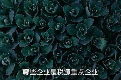 哪些企業(yè)是稅源重點(diǎn)企業(yè)