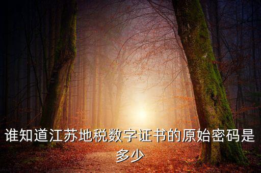 江蘇地稅登錄密碼是什么，江蘇地稅開票密碼是多少