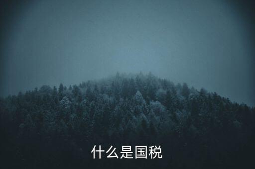 2017年國(guó)稅是什么，2017年我國(guó)財(cái)政稅收是多少