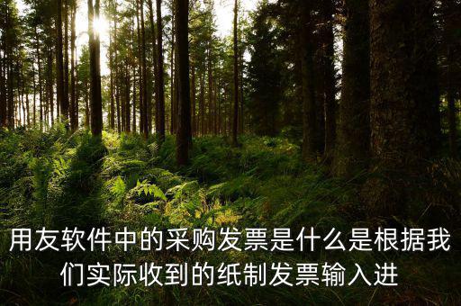 上下游采購發(fā)票是什么，用友軟件中的采購發(fā)票是什么是根據(jù)我們實(shí)際收到的紙制發(fā)票輸入進(jìn)