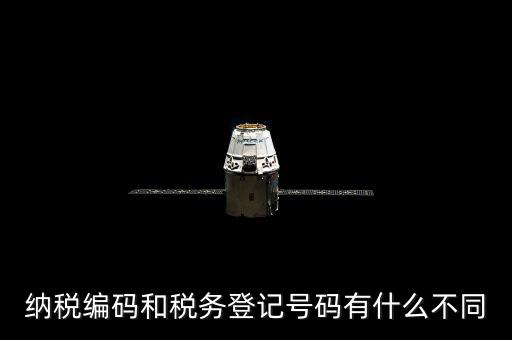個人納稅編號是什么意思，納稅編碼和稅務登記號碼有什么不同